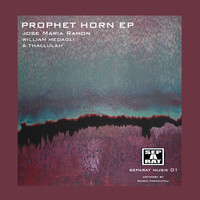 Thumbnail for the Jose Maria Ramon - Prophet Horn - Sebastian Beus a.k.a. Echorama Remix link, provided by host site