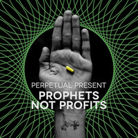Thumbnail for the Perpetual Present - Prophets Not Profits link, provided by host site