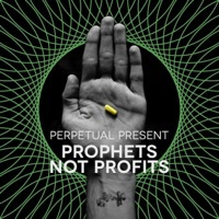 Thumbnail for the Perpetual Present - Prophets Not Profits link, provided by host site