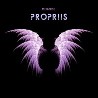 Thumbnail for the Remode - Propriis link, provided by host site