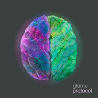 Thumbnail for the Glüme - Protocol link, provided by host site