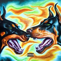 Thumbnail for the Big Kahuna OG - Protocol Flee link, provided by host site