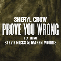 Thumbnail for the Sheryl Crow - Prove You Wrong link, provided by host site