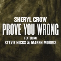 Thumbnail for the Sheryl Crow - Prove You Wrong link, provided by host site