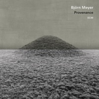 Image of Björn Meyer linking to their artist page due to link from them being at the top of the main table on this page