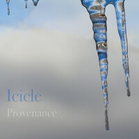 Thumbnail for the Icicle - Provenance link, provided by host site