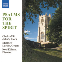 Thumbnail for the Herbert Howells - Psalm 121, "I will lift up mine eyes unto the hills" link, provided by host site