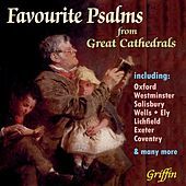 Thumbnail for the The Choir of Salisbury Cathedral - Psalm 34 link, provided by host site