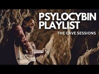 Thumbnail for the Sean Rowe - "Psilocybin Playlist" - An Original Song link, provided by host site