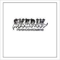 Thumbnail for the Skerik - Psychochromatic link, provided by host site