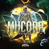 Thumbnail for the Mucora - Psychotraficante link, provided by host site