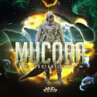 Thumbnail for the Mucora - Psychotraficante link, provided by host site