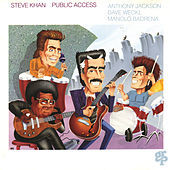 Thumbnail for the Steve Khan - Public Access link, provided by host site