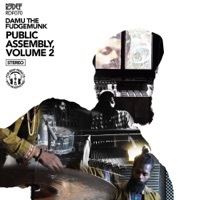 Thumbnail for the Damu The Fudgemunk - Public Assembly, Vol. 2 link, provided by host site