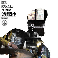 Thumbnail for the Damu The Fudgemunk - Public Assembly Volume 2 link, provided by host site