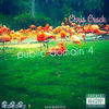 Thumbnail for the Chris Crack - Public Domain 4 link, provided by host site