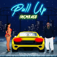 Thumbnail for the Increase - Pull Up link, provided by host site