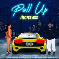 Thumbnail for the Increase - Pull Up link, provided by host site