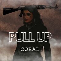 Thumbnail for the The Coral - Pull Up link, provided by host site