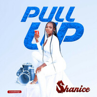 Thumbnail for the Shanice - Pull Up link, provided by host site