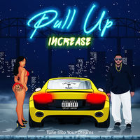 Thumbnail for the Increase - Pull Up link, provided by host site
