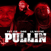 Thumbnail for the Fat Joe - Pullin link, provided by host site