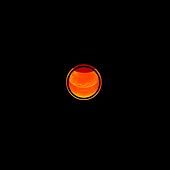 Thumbnail for the P-Ben - Pulsar 005 link, provided by host site