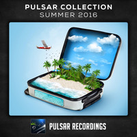 Thumbnail for the Various Artists - Pulsar Collection: Summer 2016 link, provided by host site