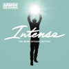 Thumbnail for the Armin van Buuren - Pulsar (Ummet Ozcan Remix) [Preview] link, provided by host site