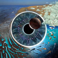 Thumbnail for the Pink Floyd - Pulse link, provided by host site