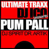 Thumbnail for the Artik - Pum Pall link, provided by host site