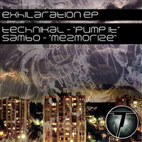 Thumbnail for the Technikal - Pump It / Mezmerize link, provided by host site