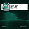 Thumbnail for the Mr.Raf - Pumping link, provided by host site