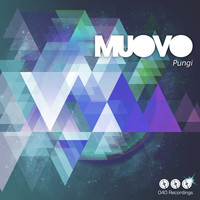 Thumbnail for the Muovo - Pungi link, provided by host site