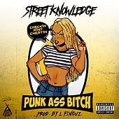 Thumbnail for the Street Knowledge - Punk Ass Bitch link, provided by host site