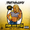 Thumbnail for the Street Knowledge - Punk Ass Bitch link, provided by host site