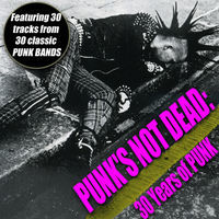 Thumbnail for the The Exploited - Punks Not Dead link, provided by host site