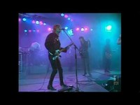 Thumbnail for the Divinyls - Punxsie (Live 1988) link, provided by host site