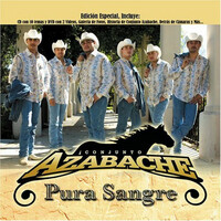 Thumbnail for the Conjunto Azabache - Pura Sangre link, provided by host site