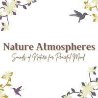 Thumbnail for the Grey Balance - Pure Atmospheres link, provided by host site