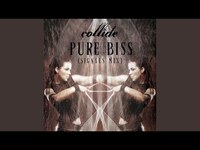 Thumbnail for the Collide - Pure Bliss (Signals Mix) link, provided by host site
