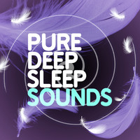 Thumbnail for the Deep Sleep Systems - Pure Deep Sleep Sounds link, provided by host site