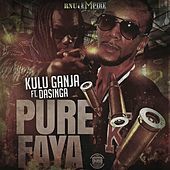 Thumbnail for the Kulu Ganja - Pure Faya link, provided by host site