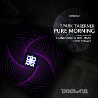 Thumbnail for the Spark Taberner - Pure Morning link, provided by host site