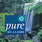Thumbnail for the Llewellyn - Pure Relaxation link, provided by host site