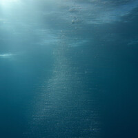 Thumbnail for the All Saints - Pure Shores (Extended Mix) link, provided by host site