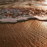 Thumbnail for the Asian Zen Meditation - Pure Sounds for Vibes & Relaxation link, provided by host site