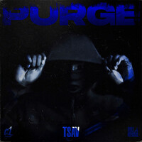 Image of TSAV linking to their artist page due to link from them being at the top of the main table on this page