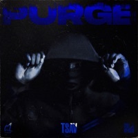 Thumbnail for the TSAV - Purge link, provided by host site