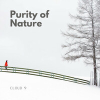 Thumbnail for the Cloud 9 - Purity of Nature link, provided by host site